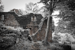 Burg_Eberstadt