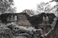 Burg_Eberstadt_Detail