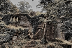 Burg_Eberstadt_Seite