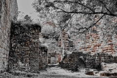 Burg_Wildenburg_Detail