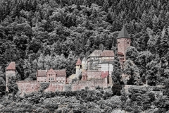 Burg_Zwingenburg