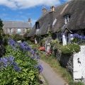 Cadwight