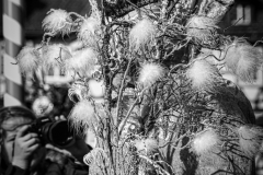imFocus_bw