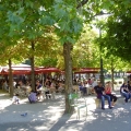 frei nach Renoir