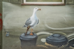 Möwe