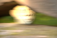 Kopf
